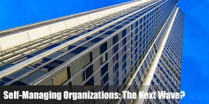Read more about the article Self-Managing Organizations: The Next Wave?