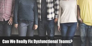 Read more about the article Can We Really Fix Dysfunctional Teams?