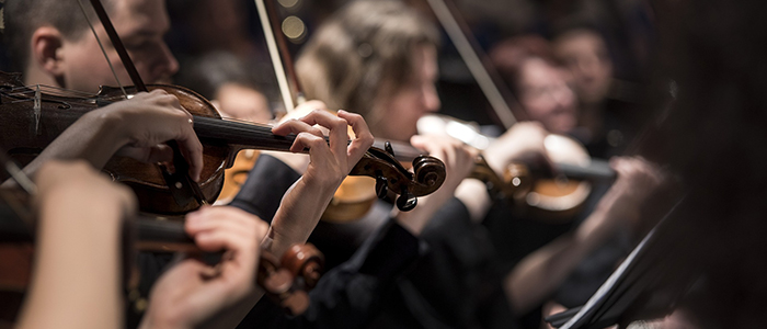 Harmonizing Success: Conducting an Orchestra as a Metaphor for Exceptional Leadership