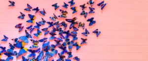 Read more about the article Metamorphosis in Leadership: The Butterfly Effect on Modern Teams