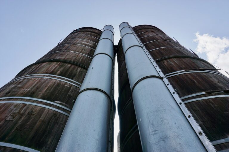 From breaking silos to aligning goals, discover how leaders create high-performing organizations where collaboration drives measurable success.
