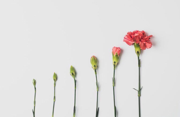 Markets shift overnight. Discover how to turn uncertainty into a leadership advantage with the KASH Method (Knowledge, Attitude, Skills, and Habits).