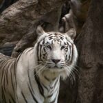 Most teams hire for skill and miss the advantage staring them in the face. Learn what top leaders use to spark innovation, crush silos, and dominate.