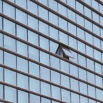 Perfection doesn’t inspire people. Authenticity does. What you need to build for trust that creates teams that follow you anywhere?